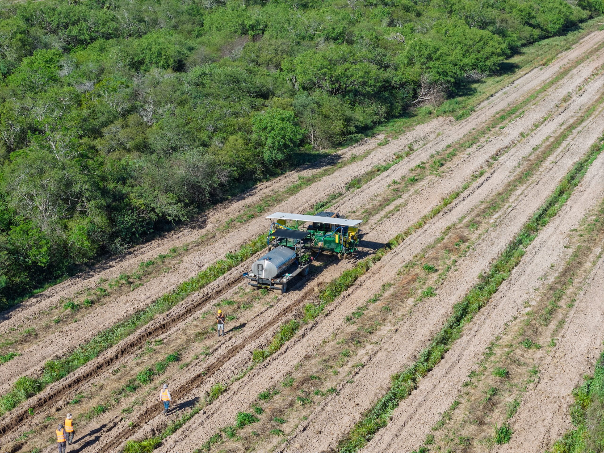 Regenerative Agroforestry & Reforestation