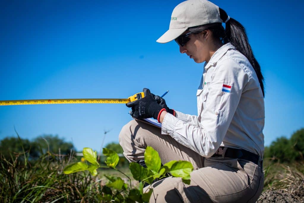 Regenerative Agroforestry & Reforestation in Paraguay