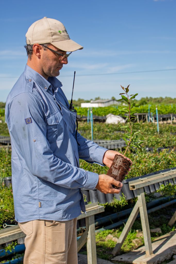 Regenerative Agroforestry & Reforestation